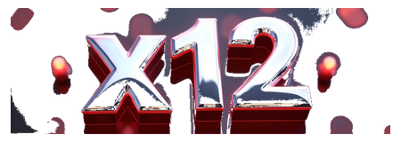 x12 logo
